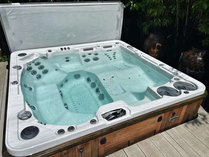 Green to clean for this Hydropool 700 (image 6 of 7)