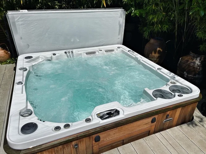 Green to clean for this Hydropool 700 (image 7 of 7)