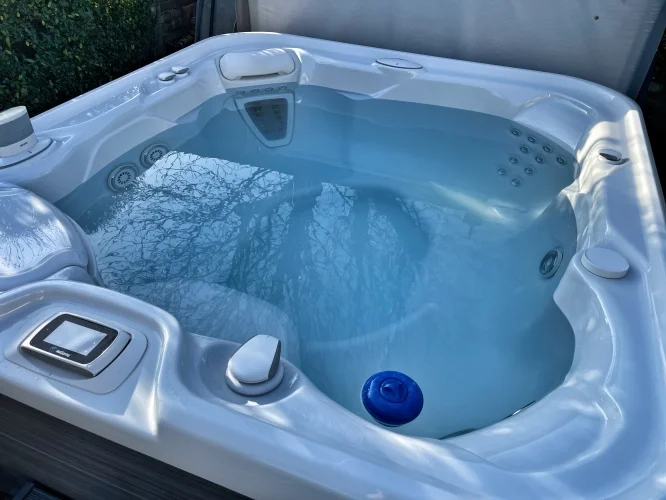 Hotspring biofilm flush & water change (image 10 of 10)